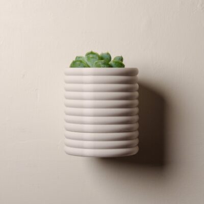 Wall Poppy Planter with Drip Tray - Succulent Included