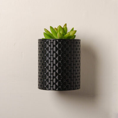 Wall Woven Planter with Drip Tray - Succulent Included
