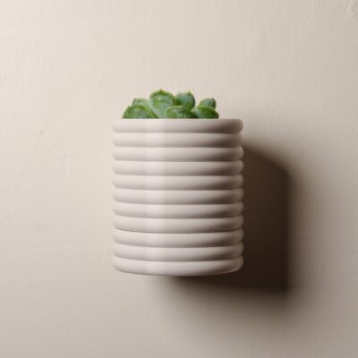 Wall Poppy Planter with Drip Tray - Succulent Included